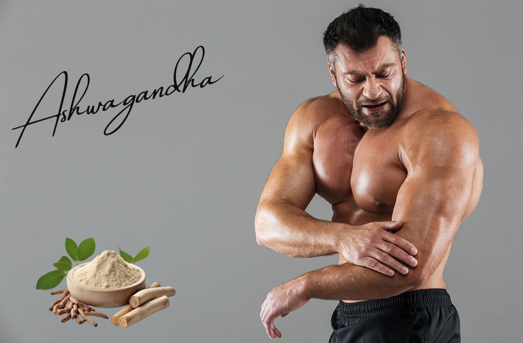 Does Ashwagandha Increase Testosterone Levels in Males?