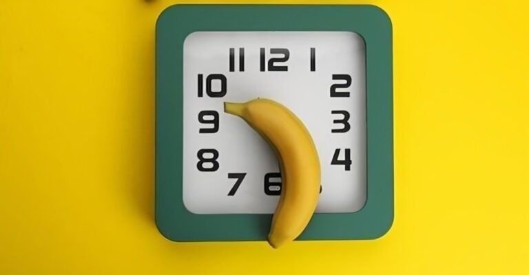 How does the libido function and what role does Rasayanam play in it?